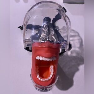 Dental Typodont and 2 teeth sets